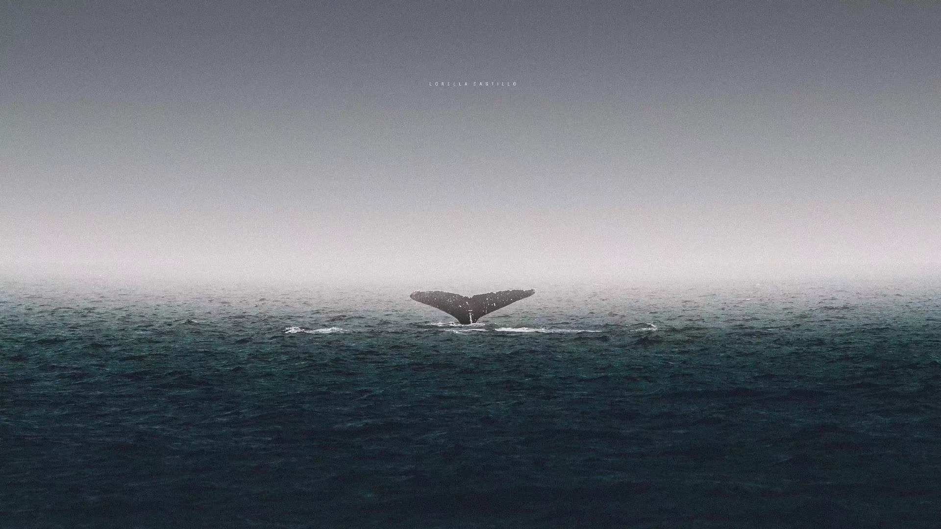 python word文档转pdf(windows+linux)